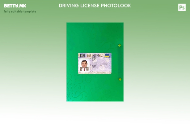 Модерен стил Украина возачка дозвола претставува photolook ФРОНТ шаблон